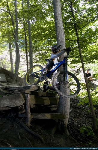 error displaying image