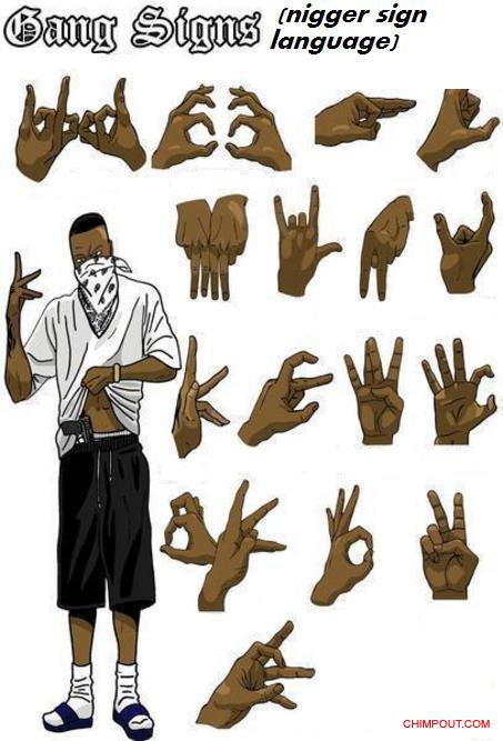 error displaying image