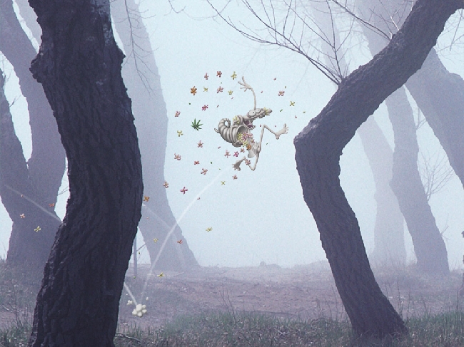 error displaying image