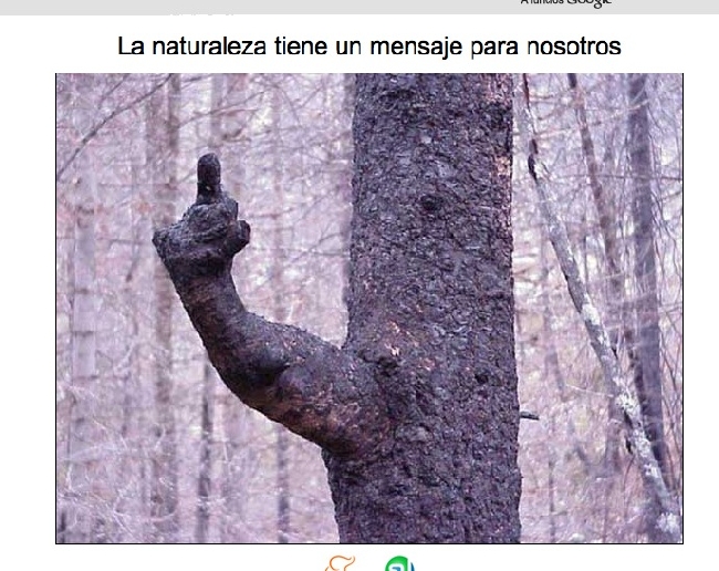 error displaying image