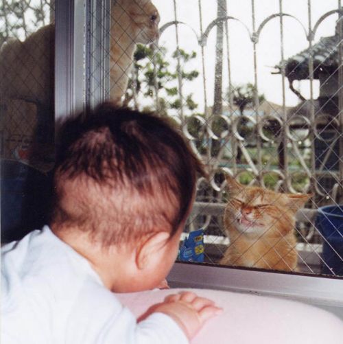 error displaying image