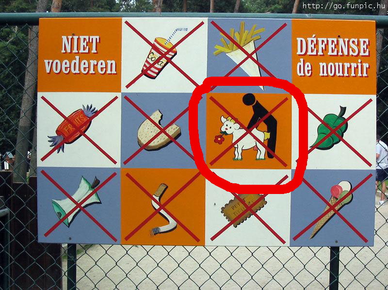 error displaying image