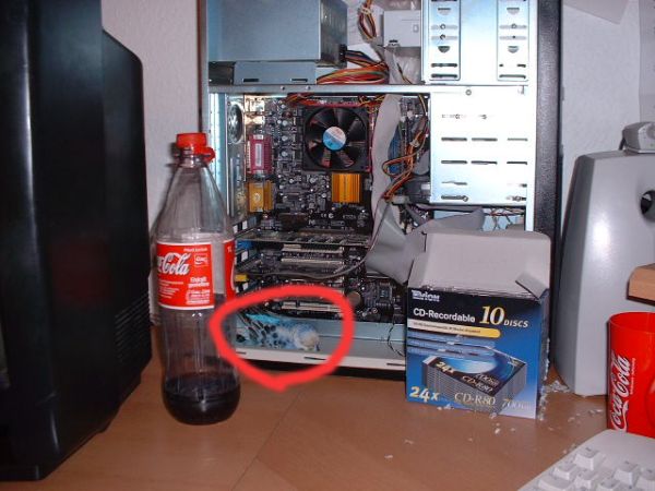 error displaying image