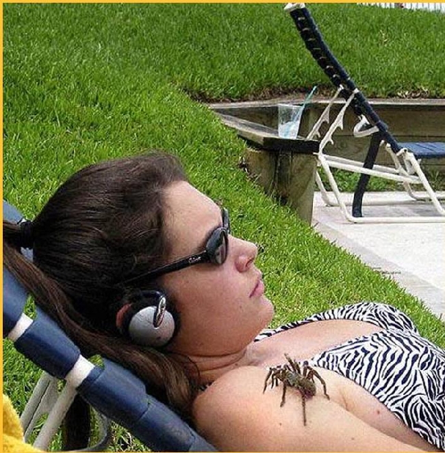 error displaying image