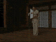 error displaying image