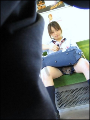 error displaying image