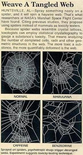 error displaying image