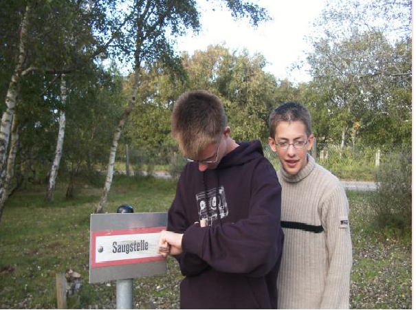 error displaying image