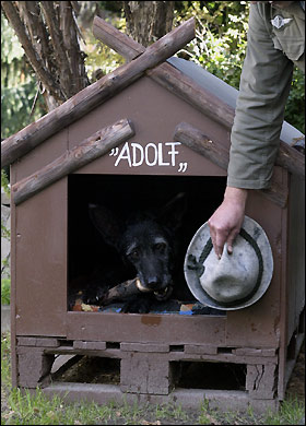 error displaying image