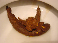 error displaying image