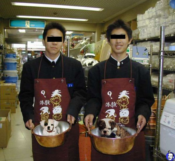 error displaying image