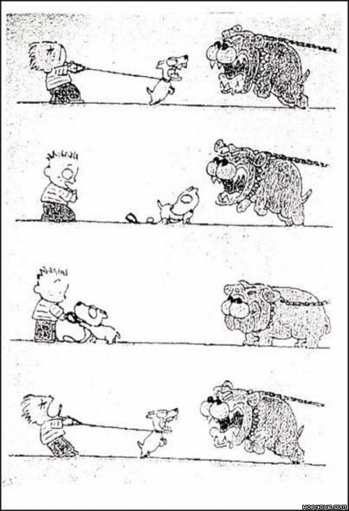 error displaying image