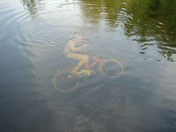 error displaying image