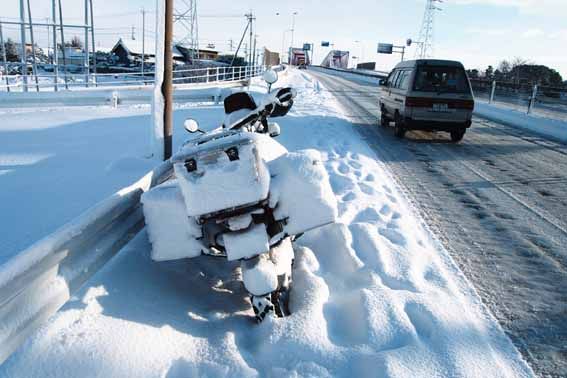 error displaying image