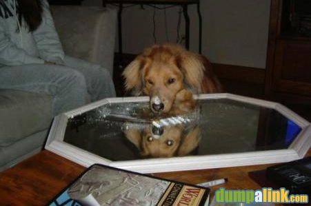 error displaying image