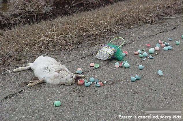 error displaying image