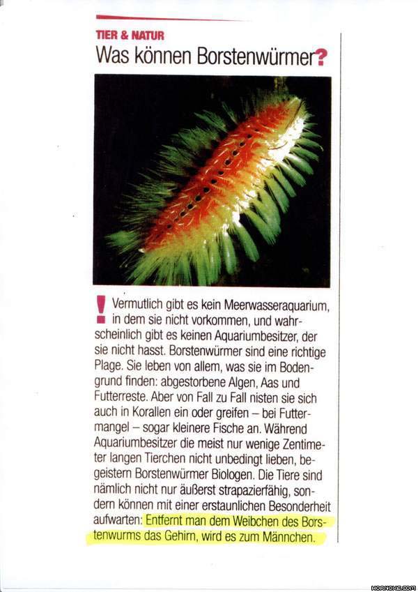 error displaying image