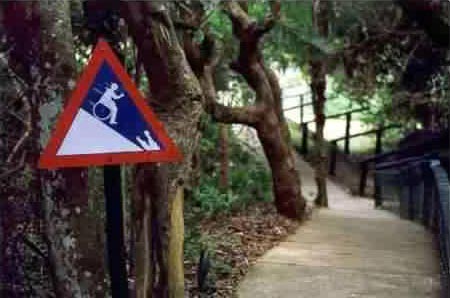 error displaying image