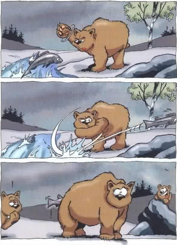 error displaying image