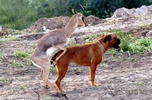 error displaying image