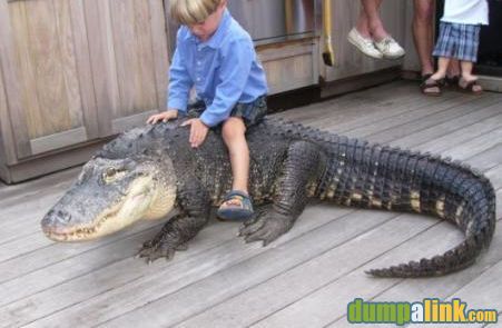 error displaying image