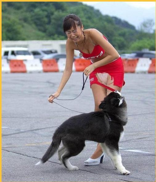 error displaying image