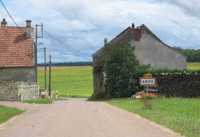 error displaying image