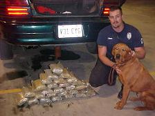 error displaying image