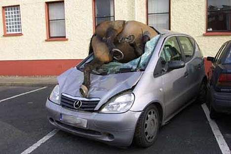 error displaying image