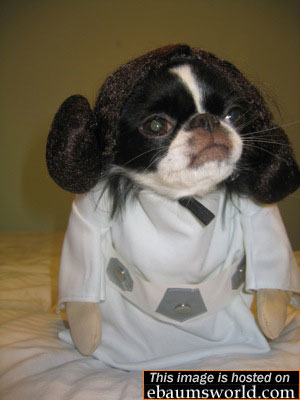 error displaying image