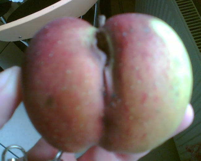 error displaying image