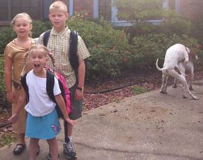 error displaying image