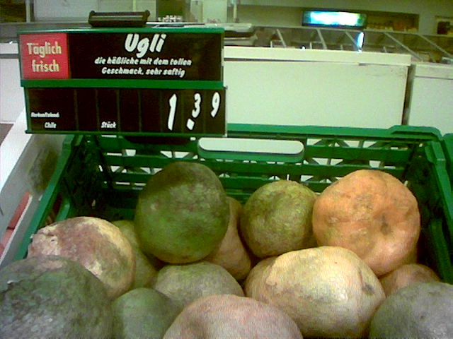 error displaying image