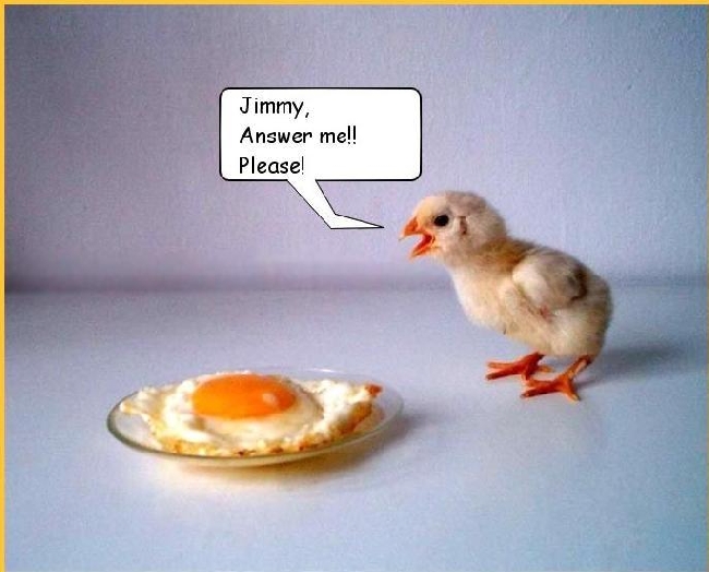 error displaying image