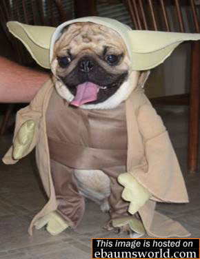 error displaying image