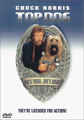 error displaying image