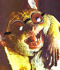 error displaying image