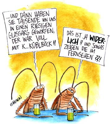 error displaying image