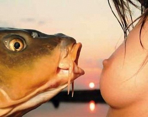 error displaying image