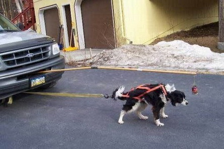 error displaying image