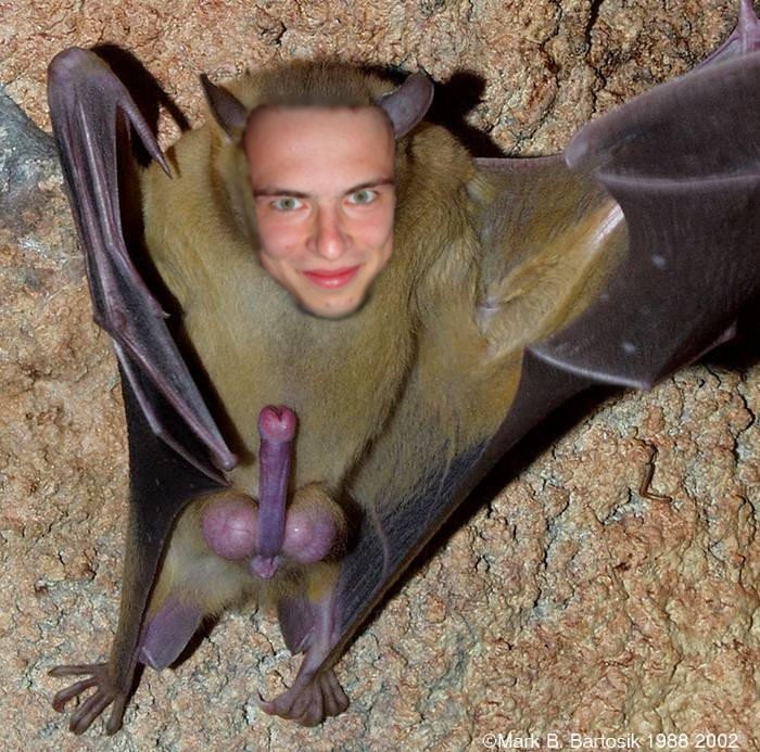 error displaying image