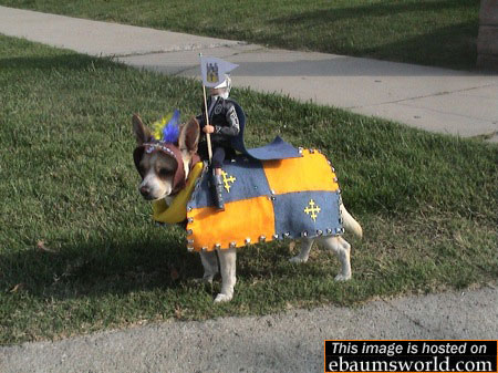 error displaying image