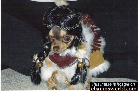 error displaying image