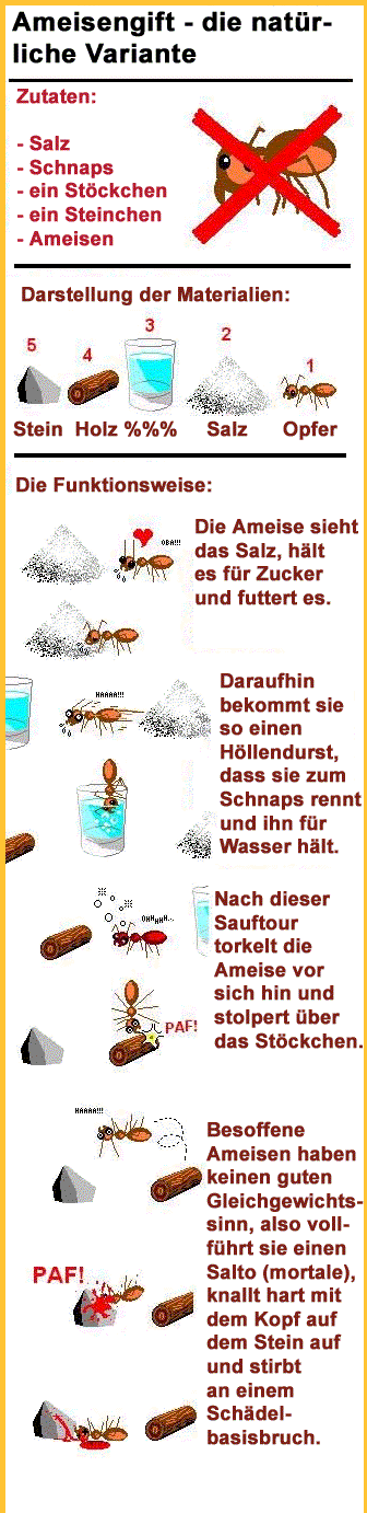 error displaying image