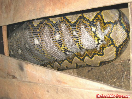 error displaying image