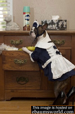 error displaying image