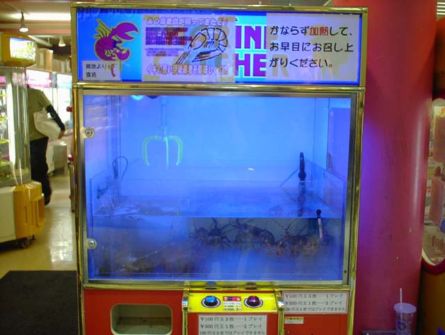 error displaying image