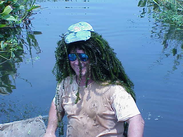 error displaying image