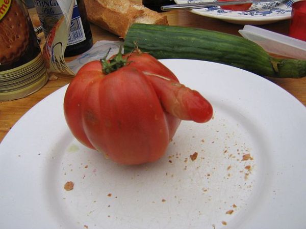 error displaying image