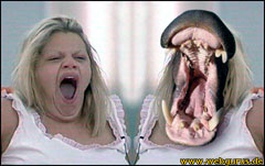 error displaying image